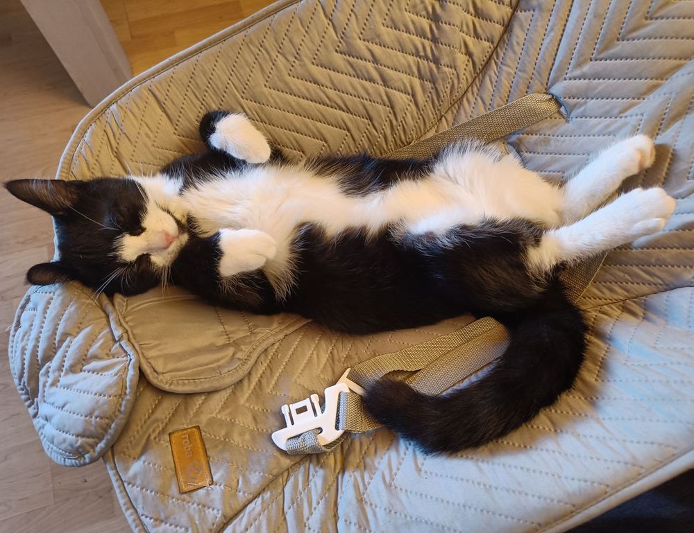 about qullnowisfap products