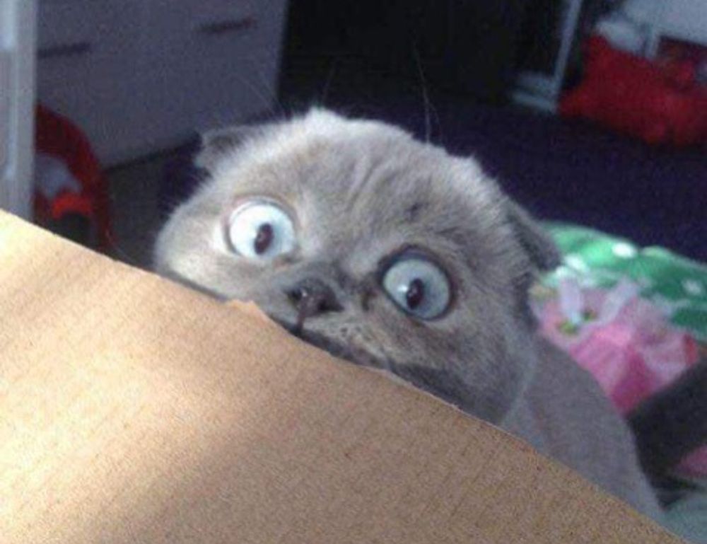 what american author has written the most books