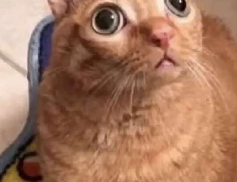 will an apartment complex deny you if you are just $300 short of the 3x the rent requirement