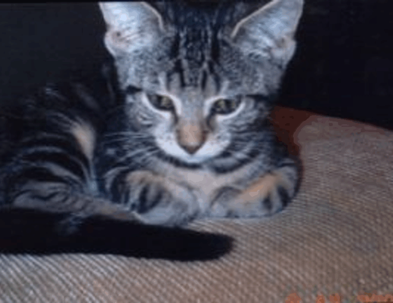 xnxubd video bokeh full bokeh lights video bokeh google earth 2021 new link japan blue.com