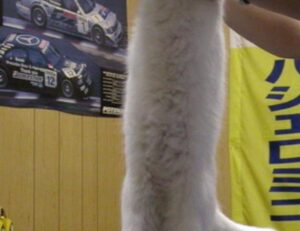 yonke el pulpo en los angeles