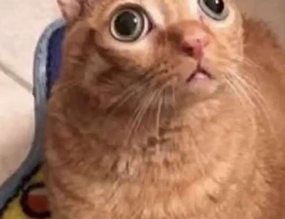 aggr8tech digital branding news from aggreg8