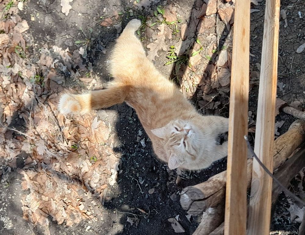 chatbot technology updates aggr8tech