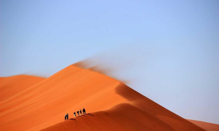 new software name 8tshare6a