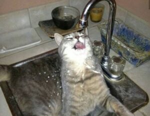 what is 8tshare6a python code