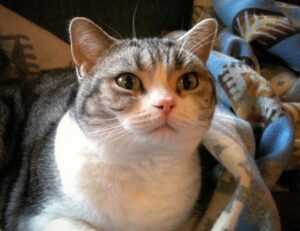 writing tools aggr8tech