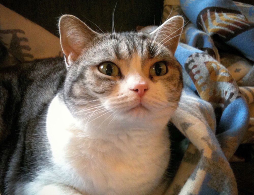 writing tools aggr8tech