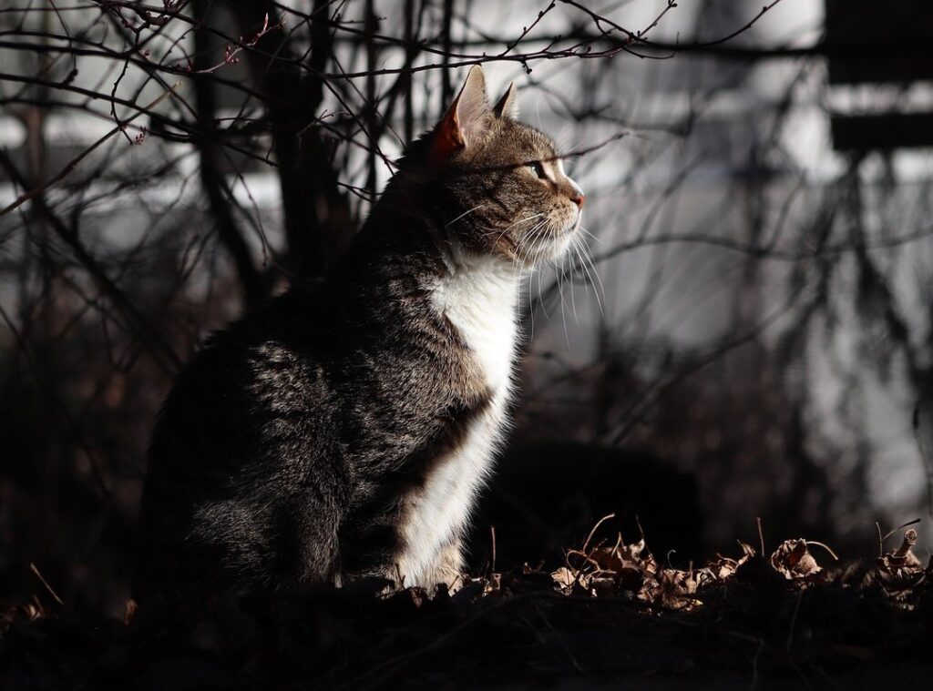 When Is Ustudiobytes Released