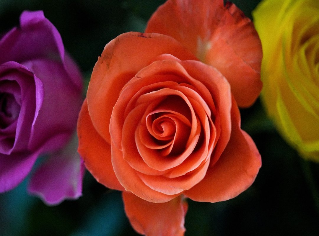 Who Is Jon Marianek?