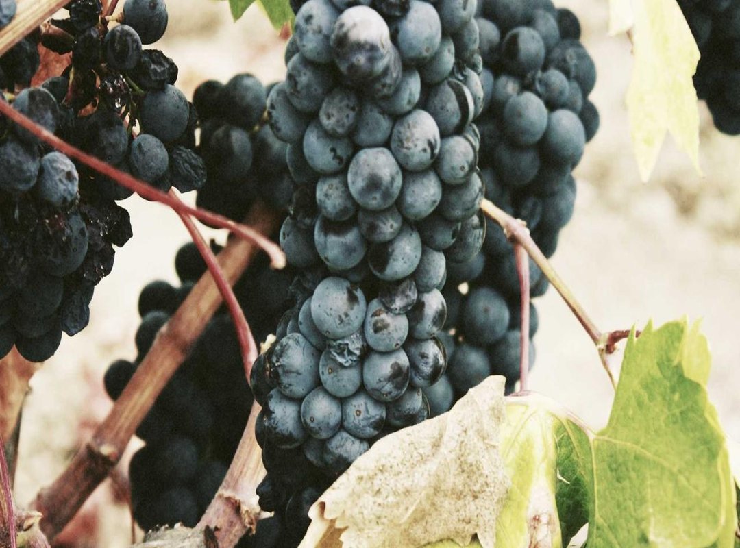 Your Ultimate Sourcebook: Where to Find and Create the Perfect Pair