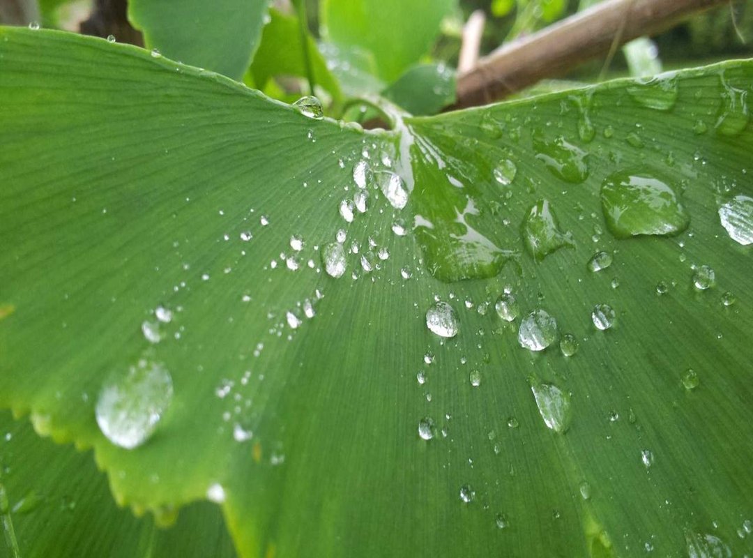 The Reality of Public Life: Navigating Fame and Online Scrutiny