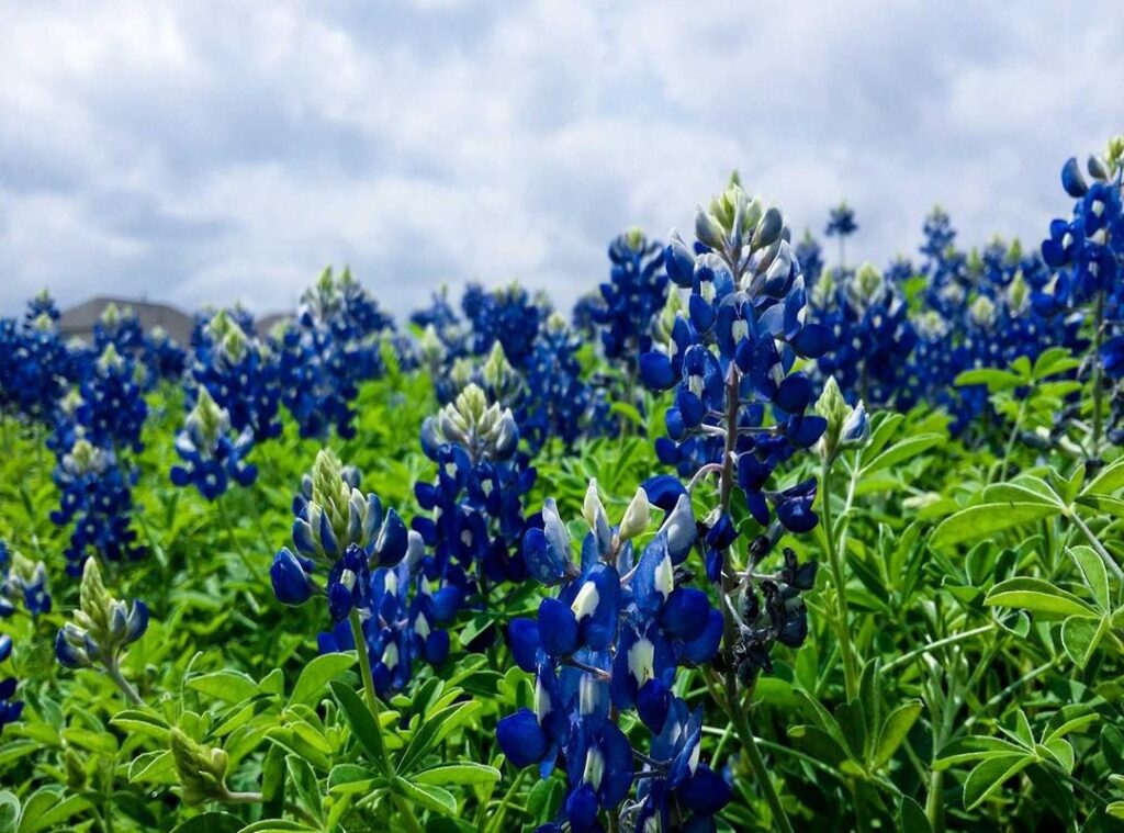 nuorten poikien hiusmallit