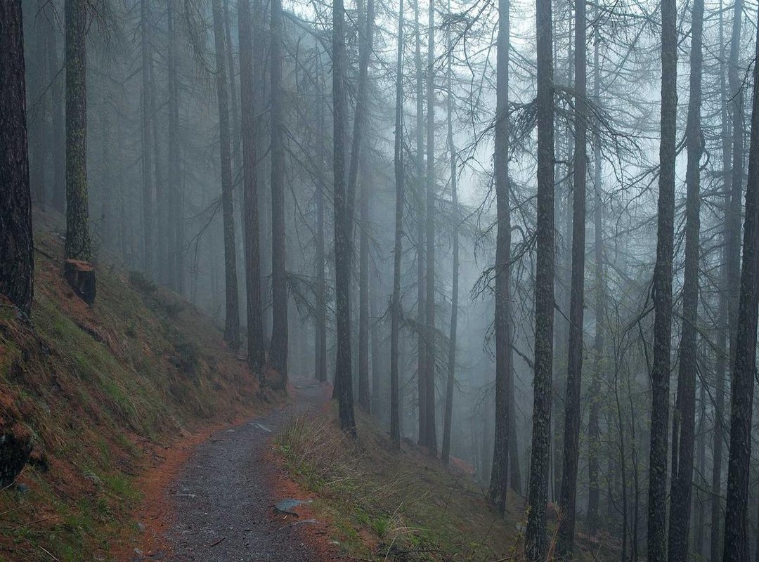 Why Accuracy Matters: The Importance for Immigration and Customs