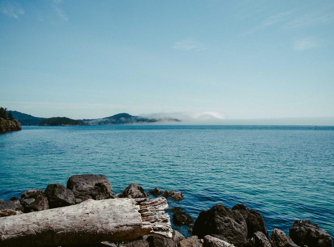 Building the Ultimate Wardrobe: Creative Ideas for Toca Boca Clothes