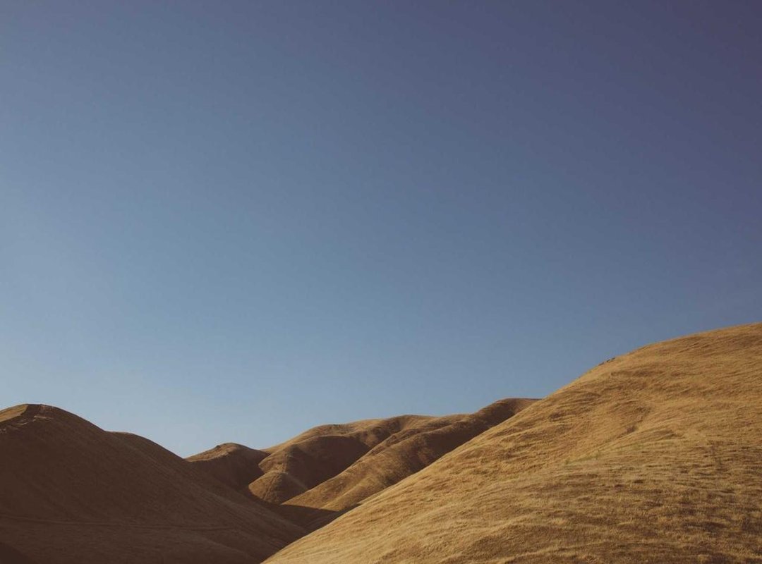 The Real 'Voleibolista': A Case of Mistaken Identity